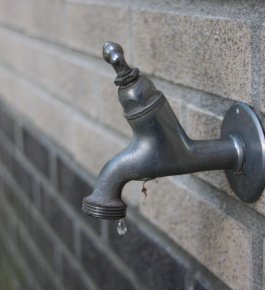 Euvelgunne speelt in op dreigend drinkwatertekort 