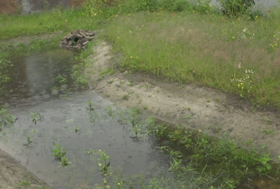 Infiltreren naar grondwater